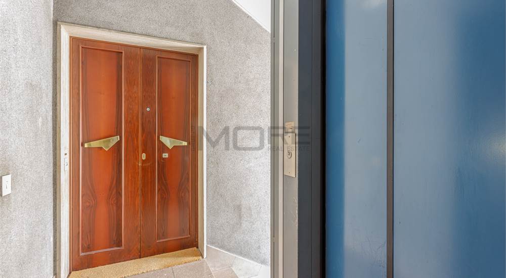 PARTICOLARE INGRESSO E ASCENSORE 