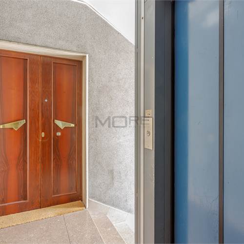 PARTICOLARE INGRESSO E ASCENSORE 