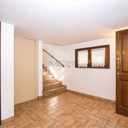 INGRESSO P.TERRA