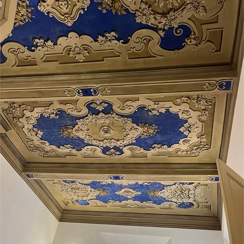 SOFFITTO SALA