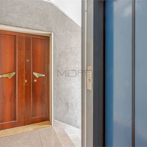 PARTICOLARE INGRESSO E ASCENSORE 