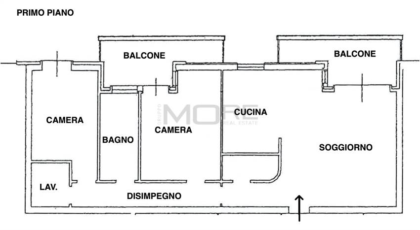 PLAIMETRIA