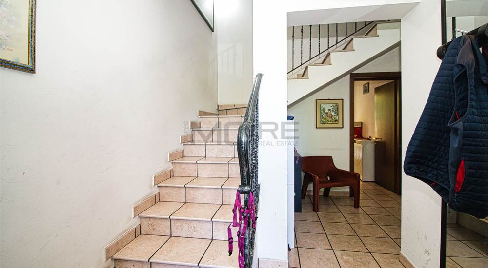 PT-ingresso