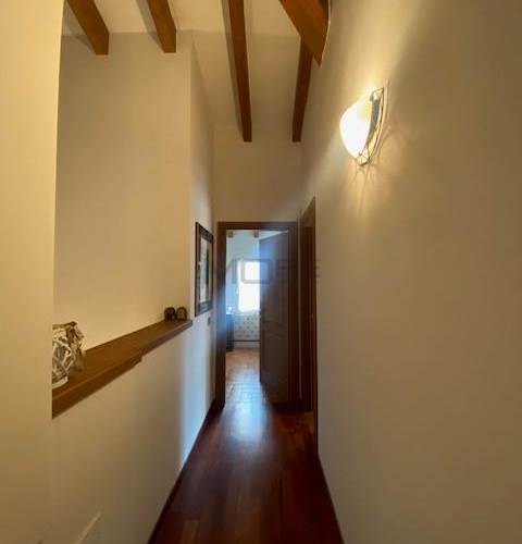 Photo 52