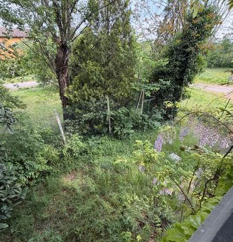 Photo 37