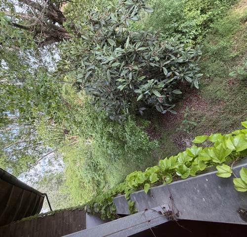 Photo 38