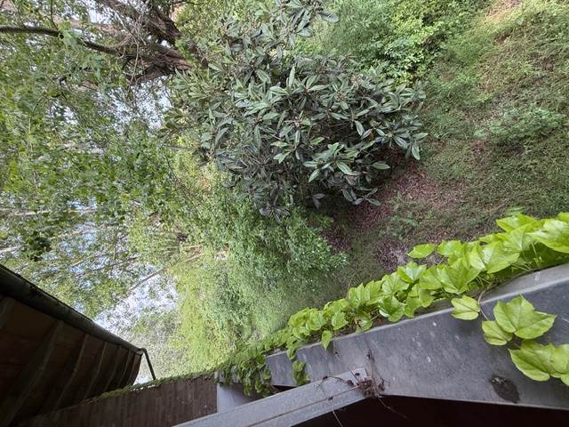 Photo 38