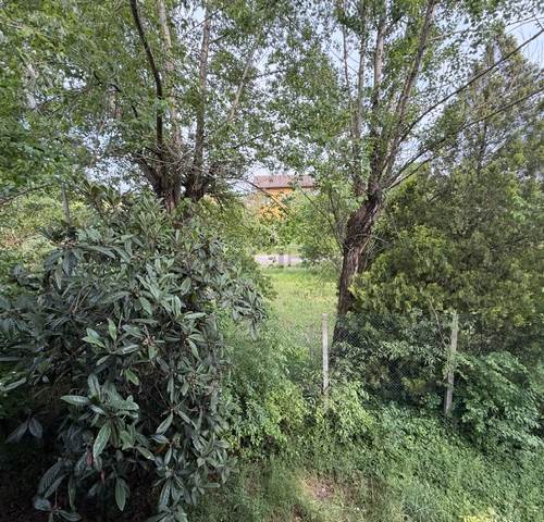 Photo 39