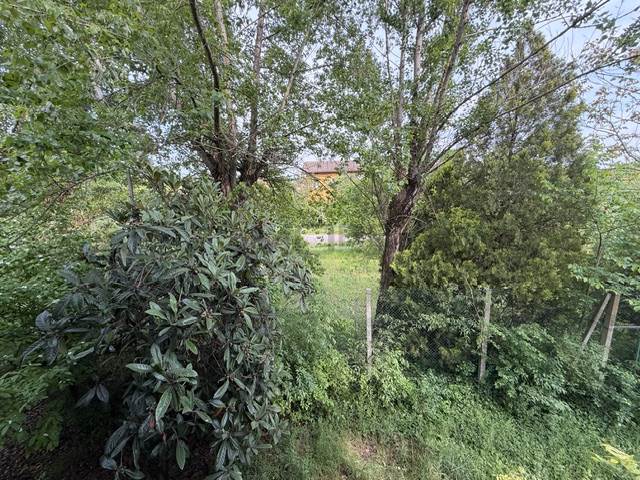 Photo 39