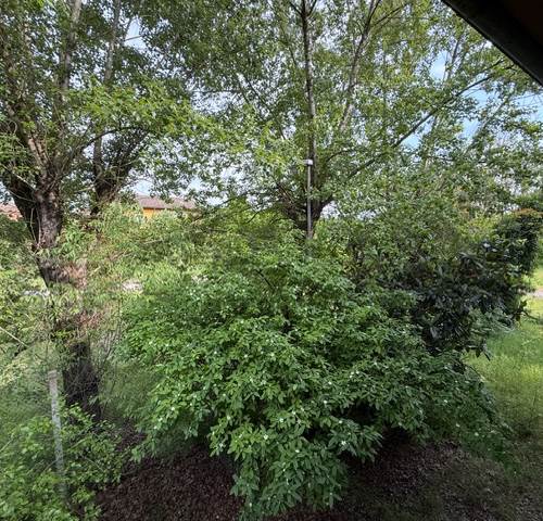 Photo 49