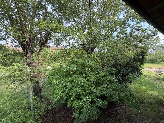 Photo 49