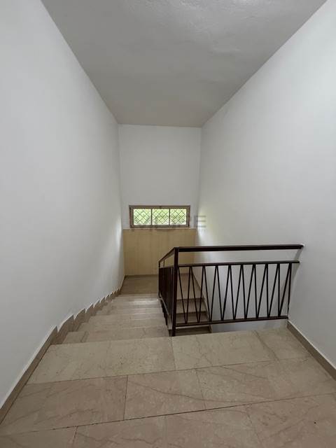 Photo 50