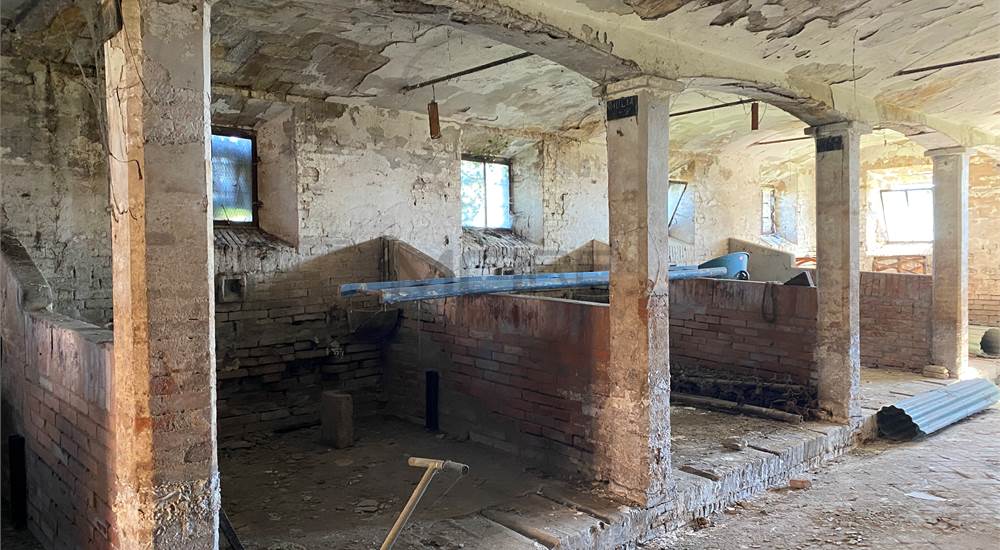 ED 2 - INTERNO STALLA