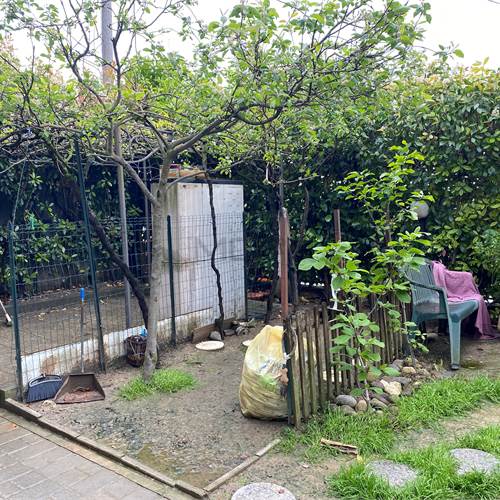 Photo 42